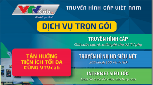 truyen-hinh-cap-viet-nam-tai-hanoi-1647444620.png